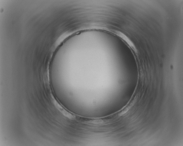 X0000074311388200609081931