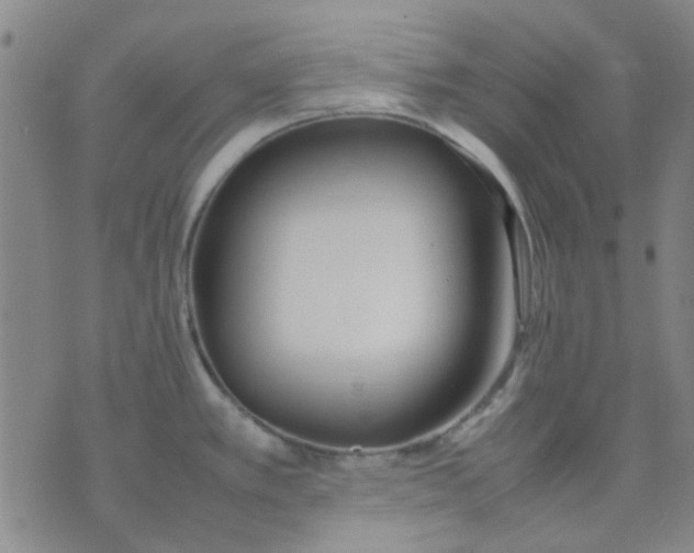 X0000074311389200609081931