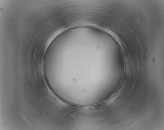 X0000074311390200609081931