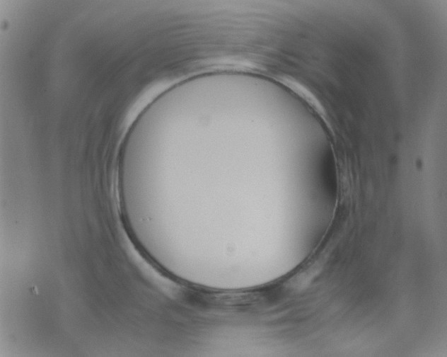 X0000074311391200609081931