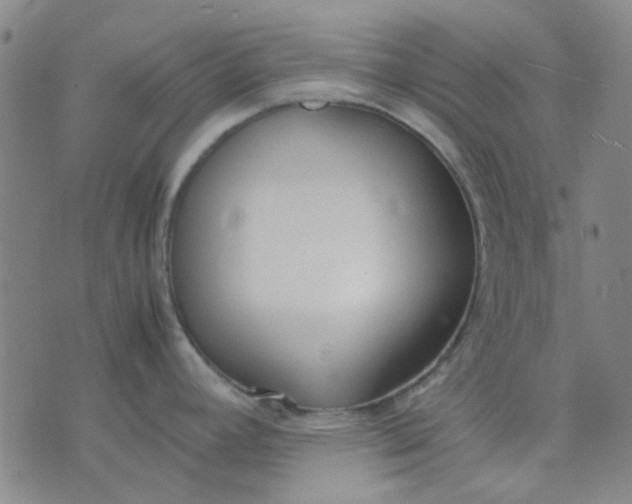 X0000074311392200609081931