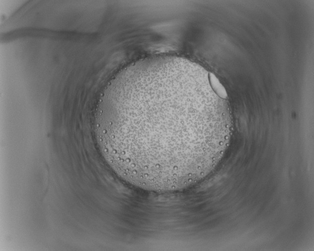 X0000074311393200609081930