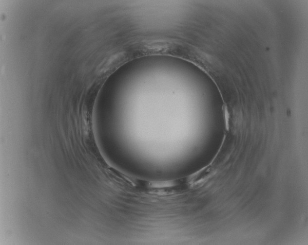 X0000074311394200609081930