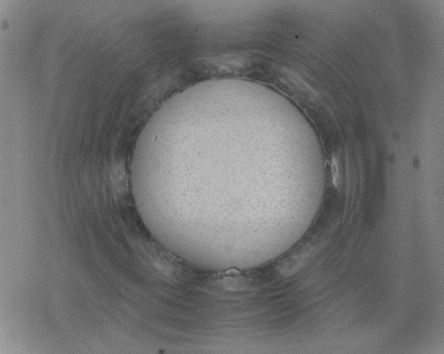 X0000074311395200609081930