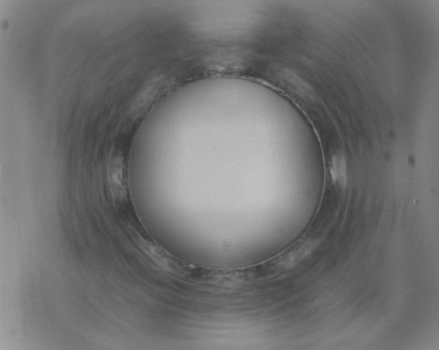 X0000074311396200609081930