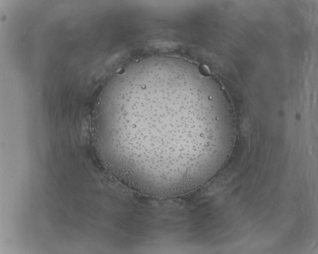 X0000074311397200609081930