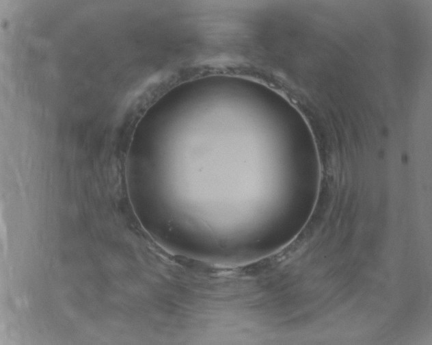 X0000074311398200609081930