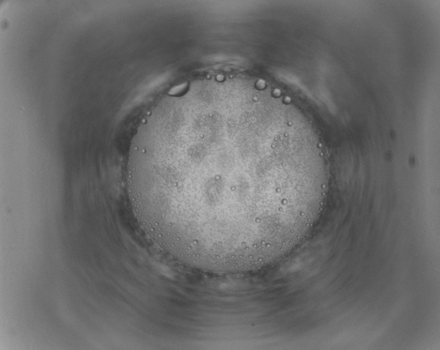 X0000074311399200609081930