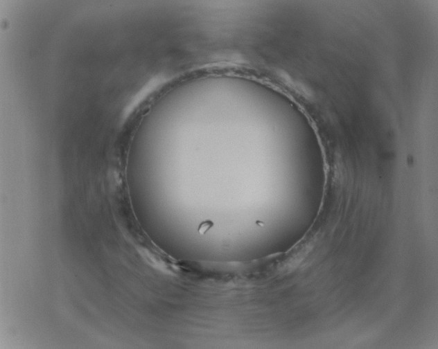 X0000074311400200609081930