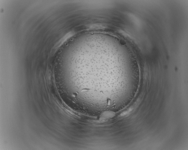 X0000074311401200609081930