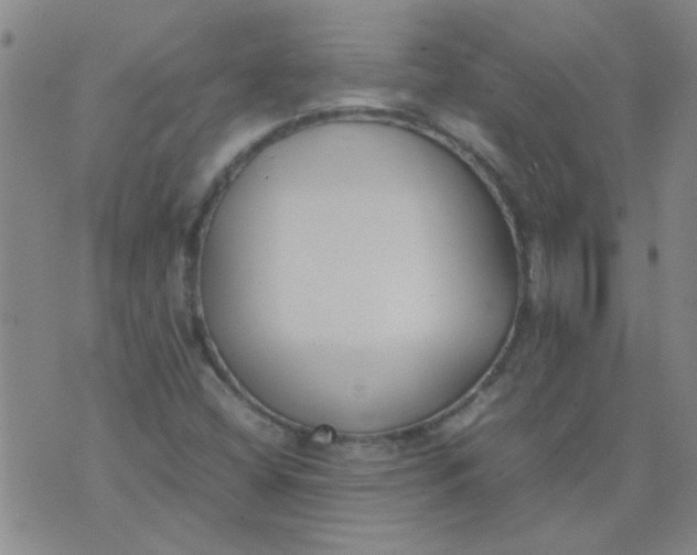 X0000074311404200609081930