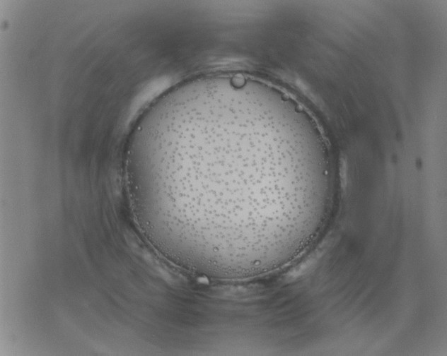 X0000074311405200609081930