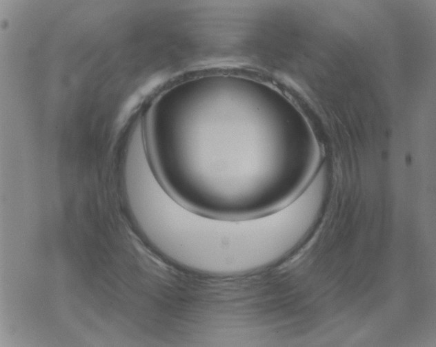 X0000074311406200609081931