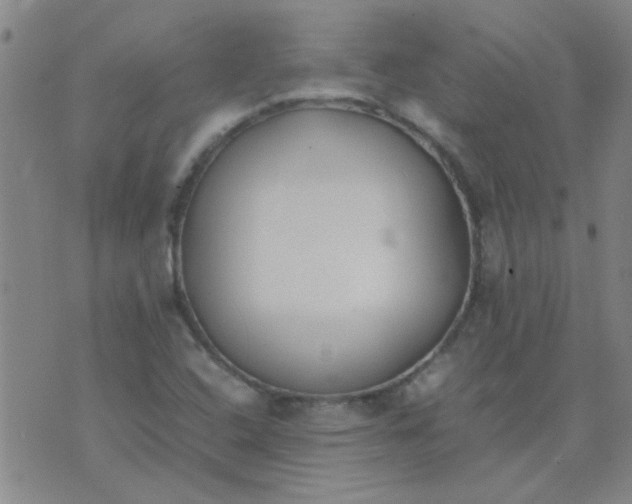 X0000074311408200609081931