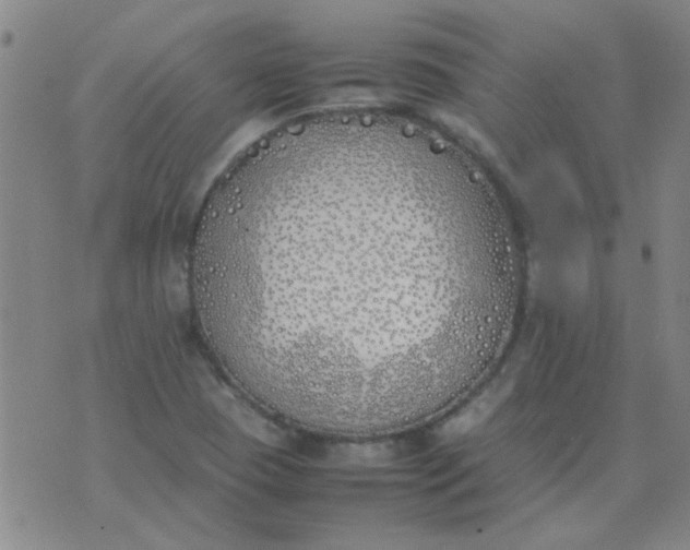 X0000074311409200609081931