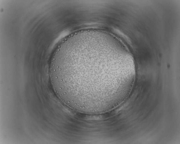 X0000074311411200609081931