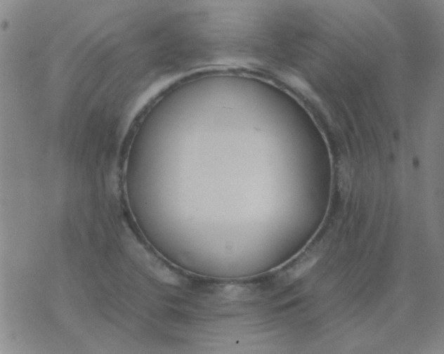 X0000074311412200609081931