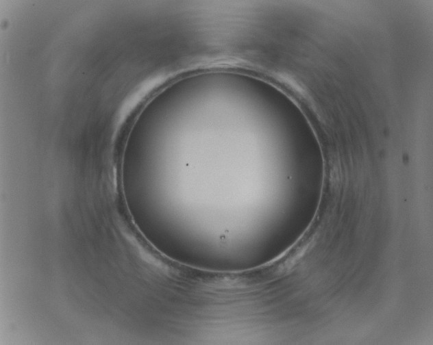 X0000074311414200609081931