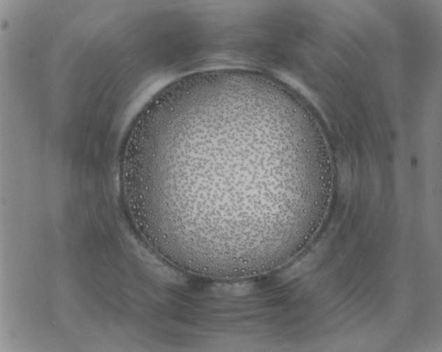 X0000074311415200609081931