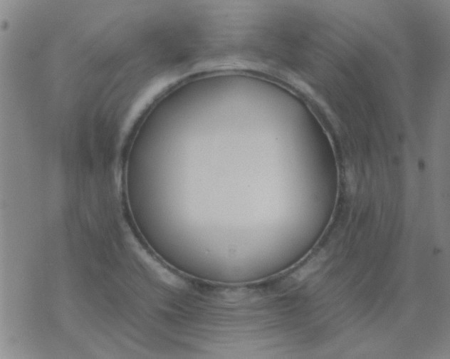 X0000074311416200609081931