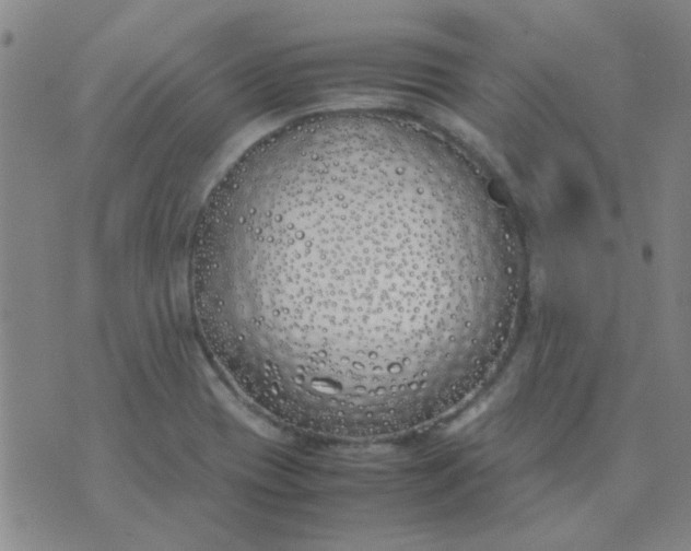 X0000074311417200609081931