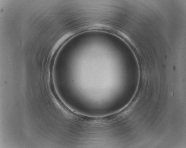 X0000074311418200609081931