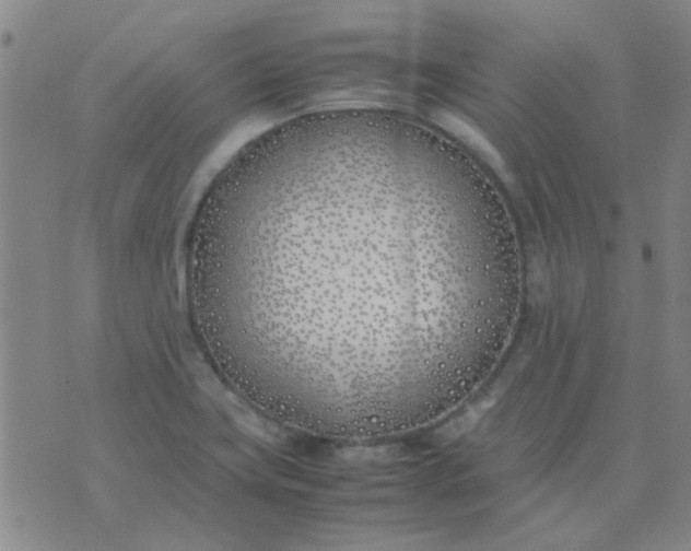 X0000074311419200609081931