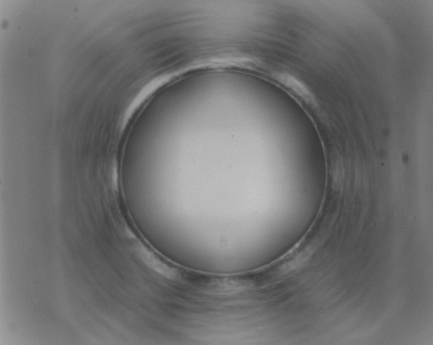 X0000074311420200609081931