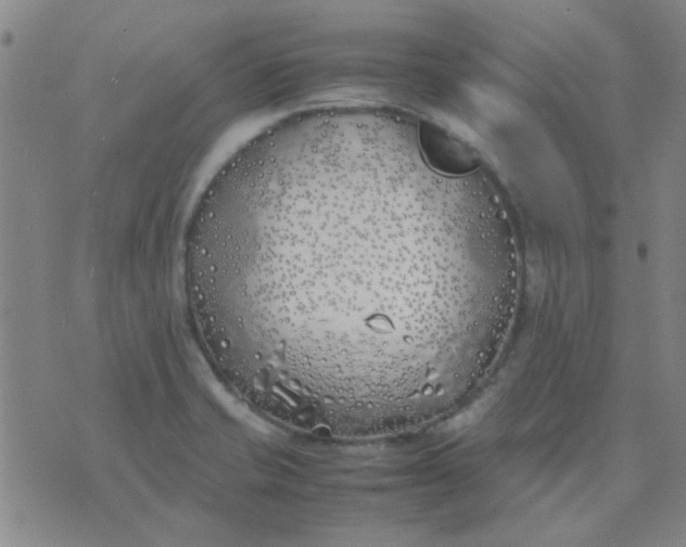 X0000074311421200609081931