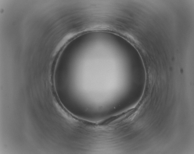 X0000074311422200609081931