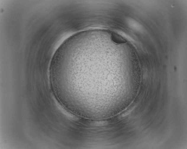 X0000074311423200609081931