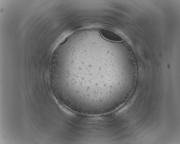 X0000074311425200609081931