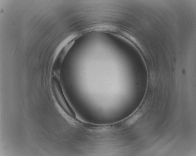 X0000074311426200609081931