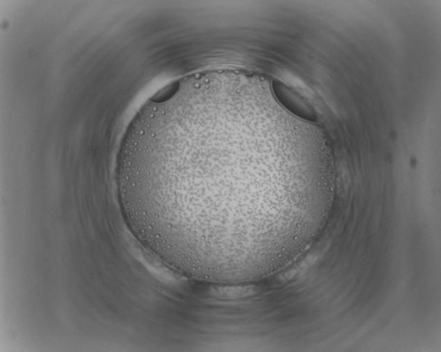 X0000074311427200609081931