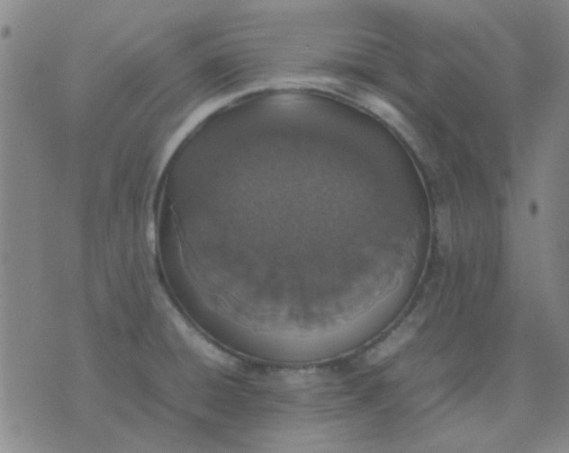 X0000074311428200609081931