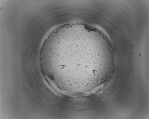 X0000074311429200609081931