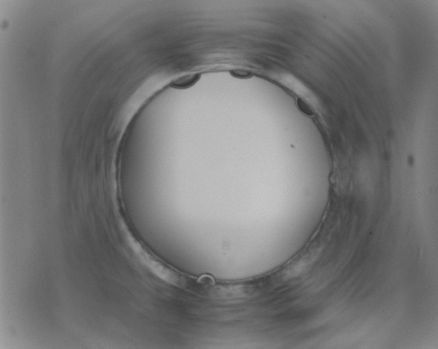 X0000074311431200609081931