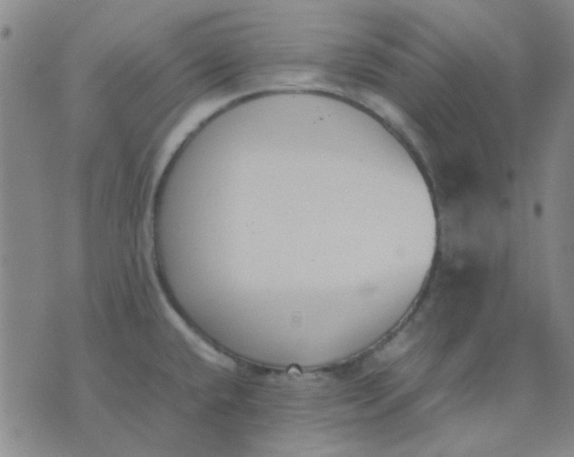 X0000074311432200609081931