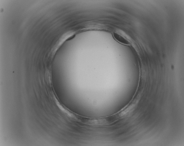 X0000074311433200609081931