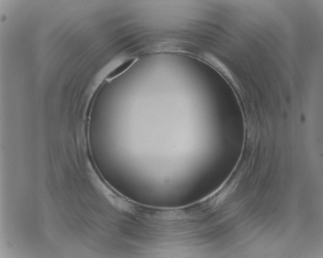 X0000074311434200609081931