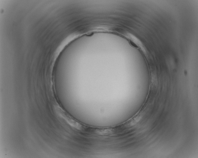 X0000074311435200609081931