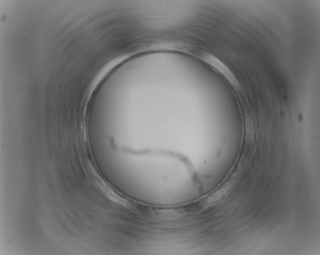 X0000074311436200609081931