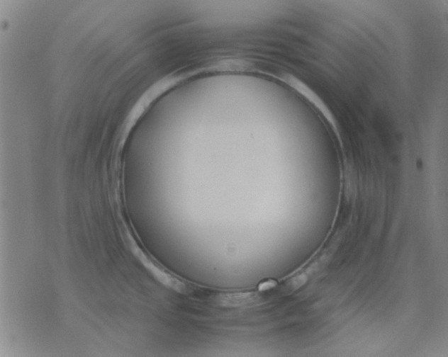 X0000074311437200609081931