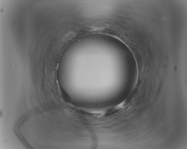 X0000074311441200609081930