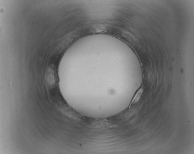 X0000074311442200609081930