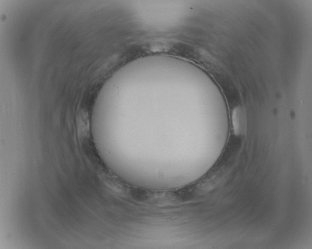 X0000074311443200609081930