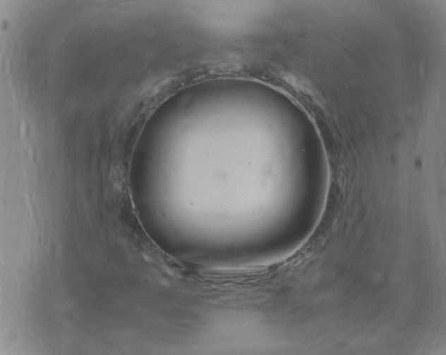 X0000074311445200609081930