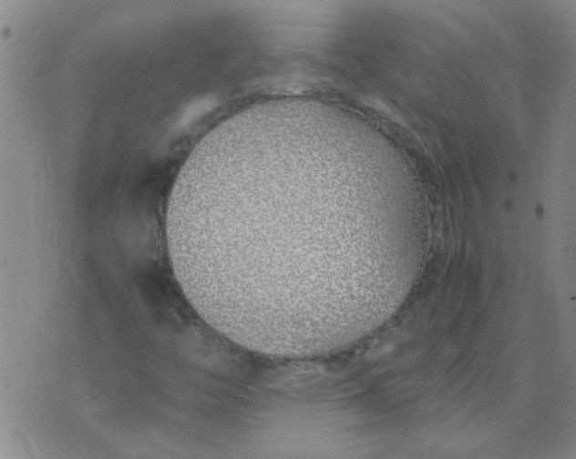 X0000074311446200609081930