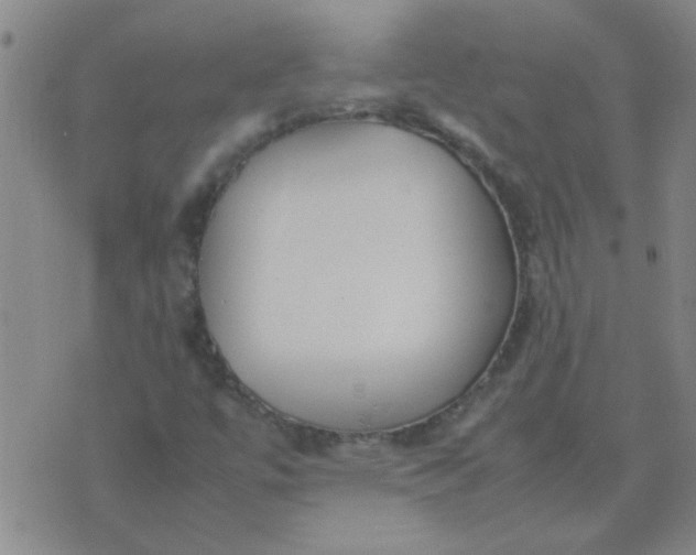 X0000074311447200609081930