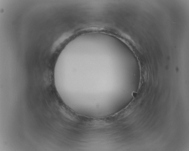 X0000074311448200609081930